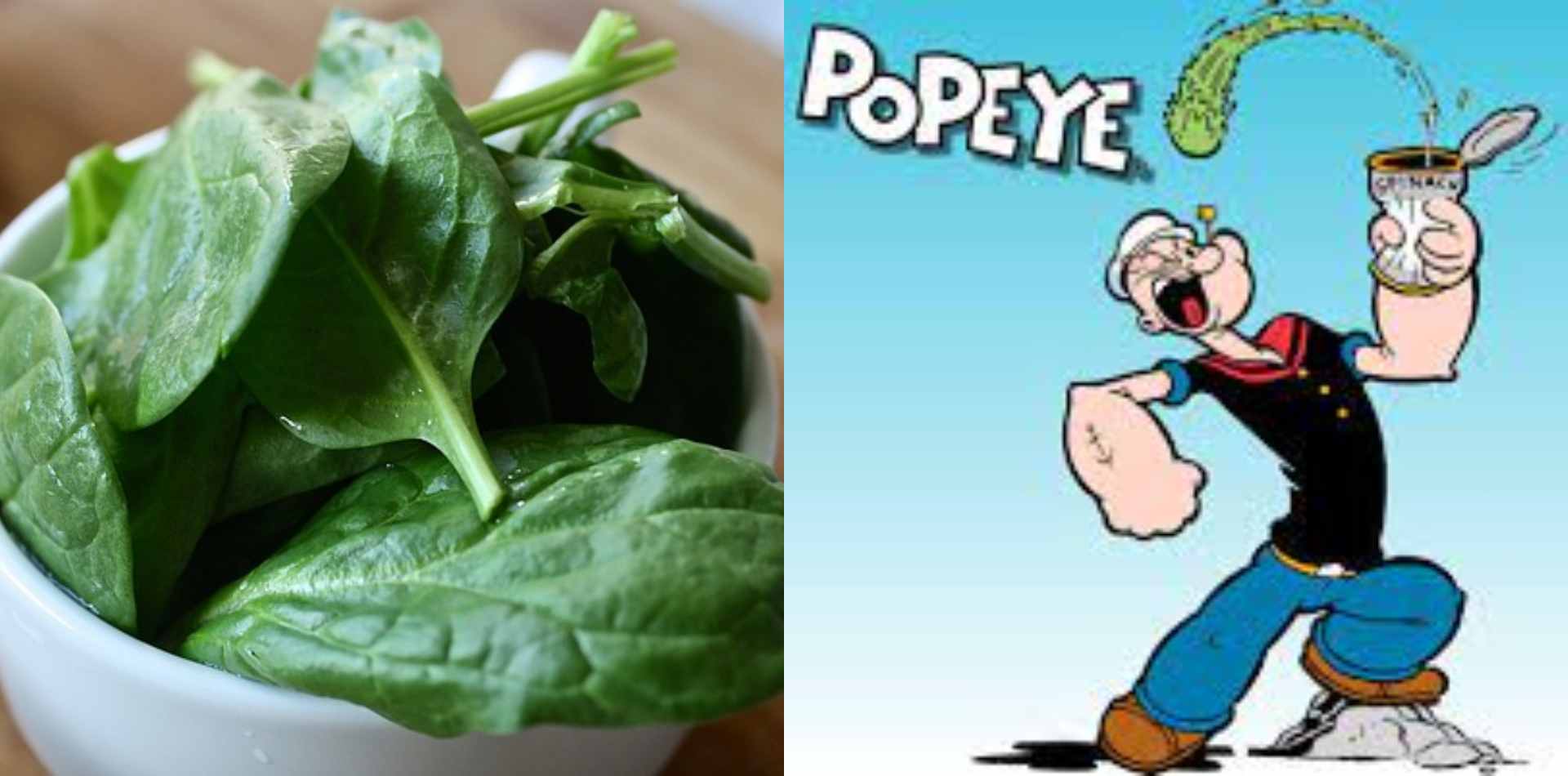 5 receitas com espinafre para quem quer ficar forte igual o Popeye - Foto: Pixabay