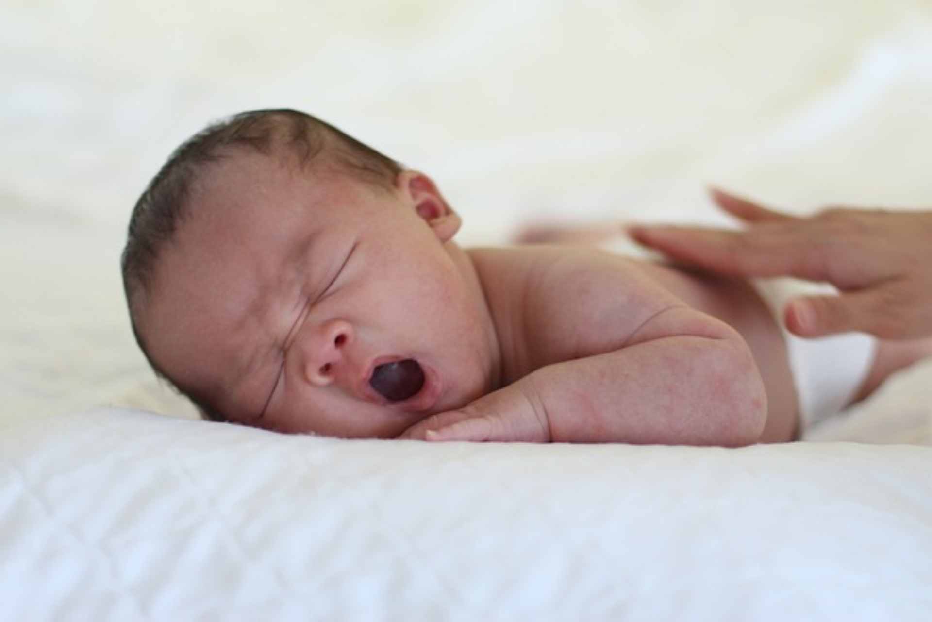 Confira 5 alimentos que vão te ajudar a dormir igual bebê - Foto: Pixabay