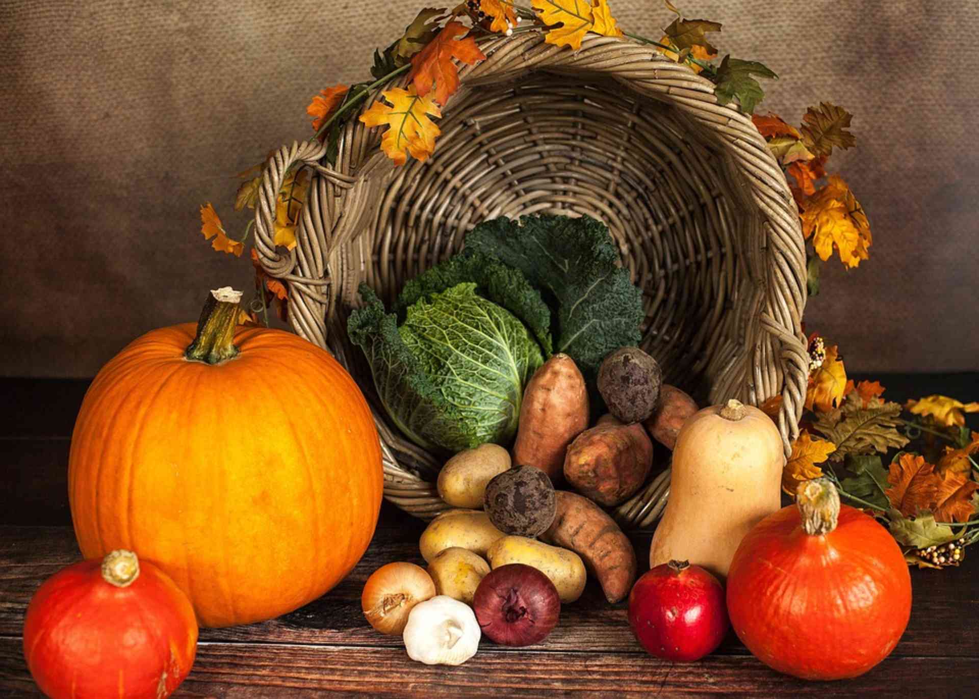 Receitas com alimentos típicos do outono - Foto: Pixabay