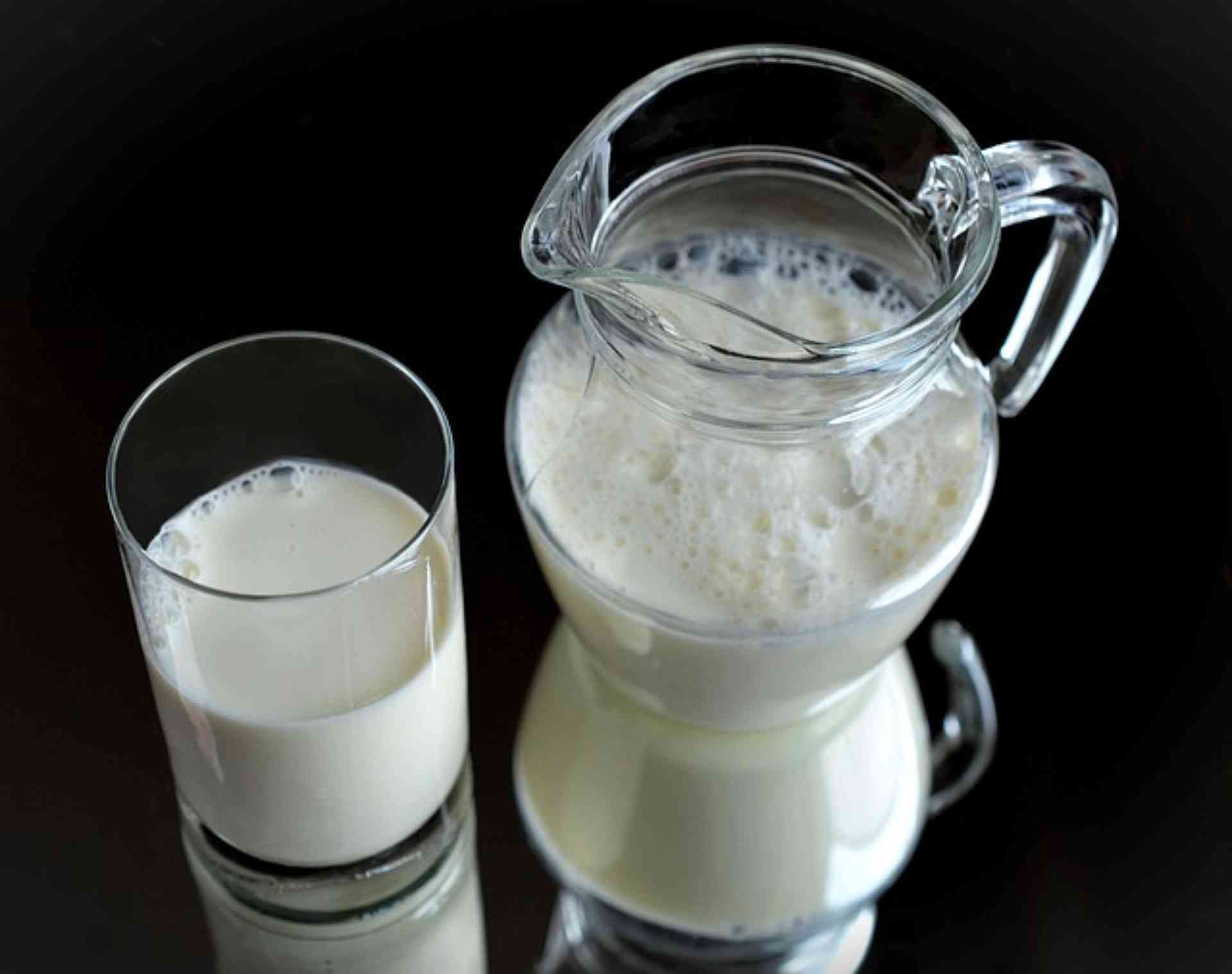 Você guarda o leite na porta da geladeira? Venha descobrir se esse hábito está correto! Foto: Pixabay