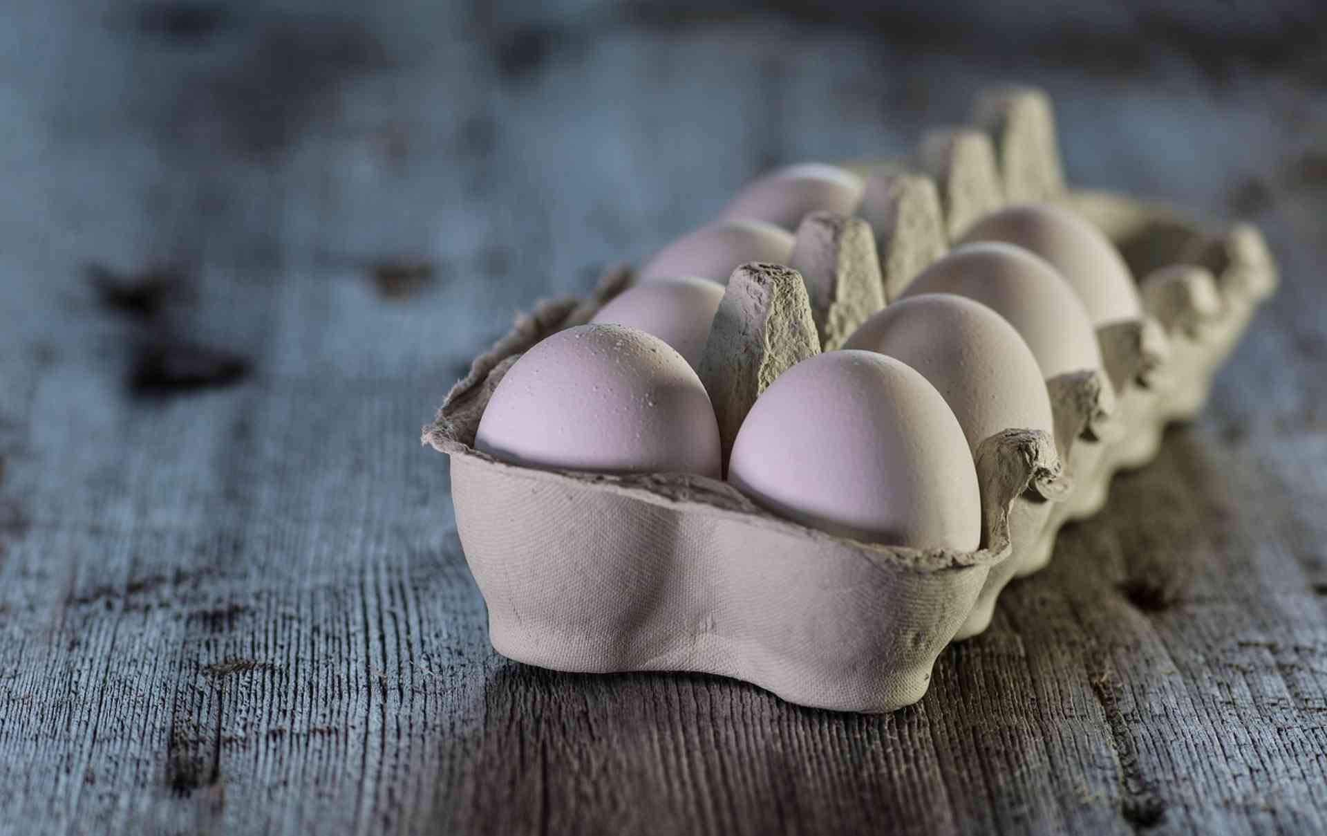 Armazenar o ovo dentro ou fora da geladeira Aprenda o jeito certo!