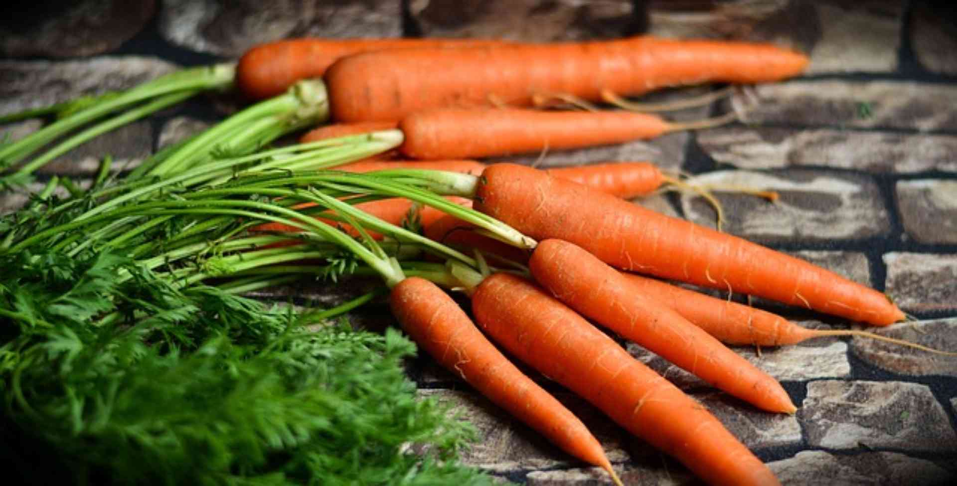 Confira truque para deixar a cenoura murcha crocante de novo! - Foto: Pixabay