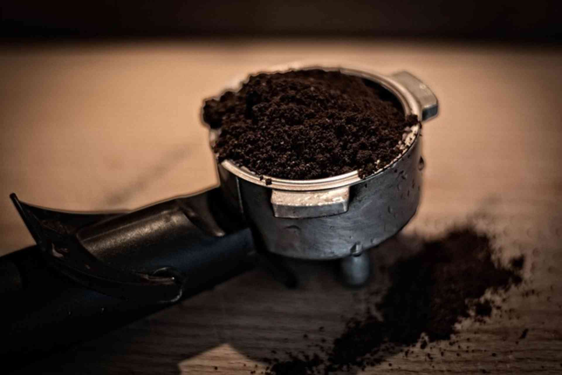 Venha conferir algumas formas de reaproveitar a borra de café - Foto: Pixabay
